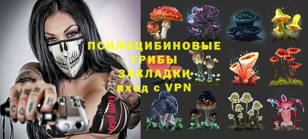 стафф Баксан